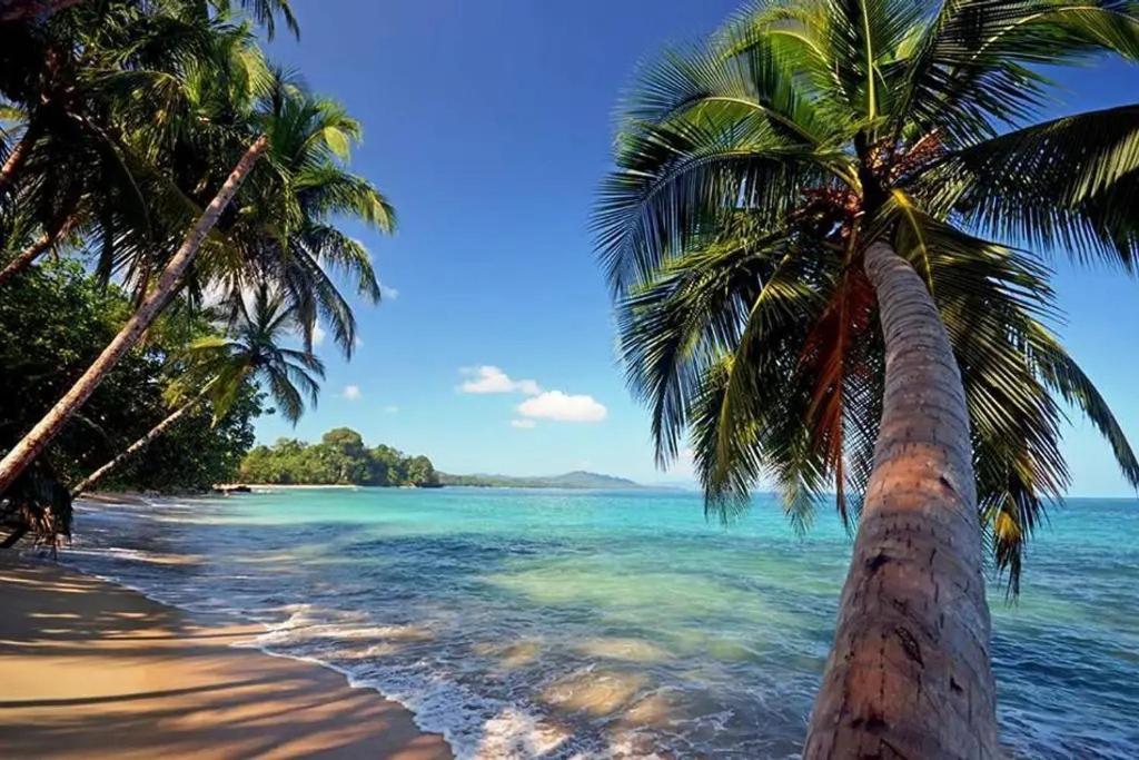 Puerto Viejo de Talamanca Roca Mar Rocawelch Puerto Viejoアパートホテル エクステリア 写真